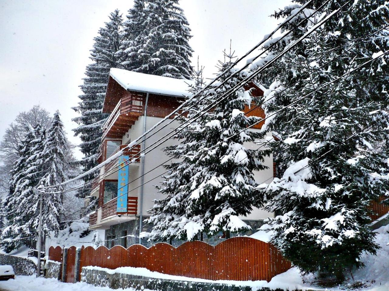 Pension Casa Soarelui Sinaia Eksteriør bilde